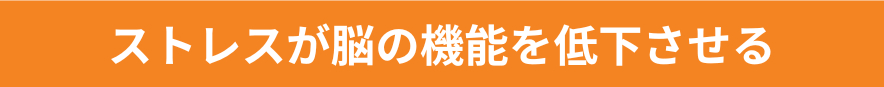 ストレスが脳の機能を低下させる